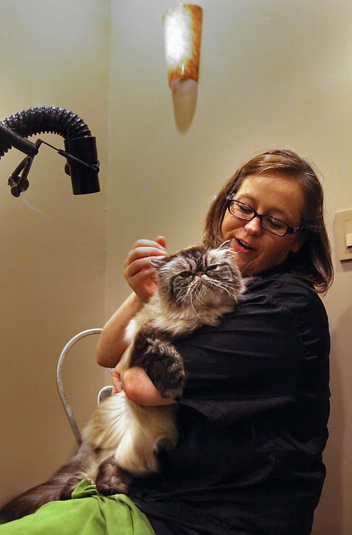Kitty corner Spa leaves its clientele purring