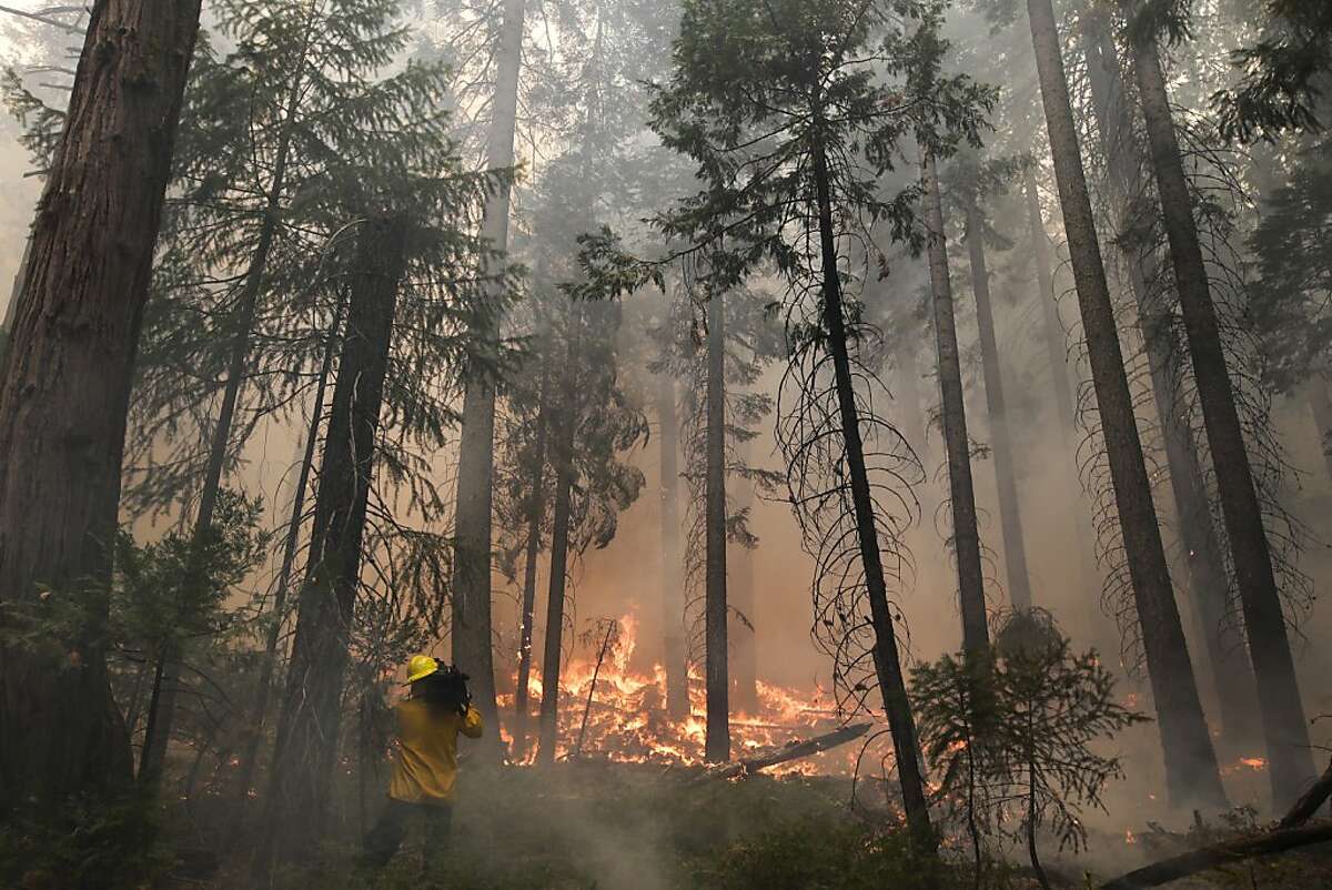 Yosemite fire Crews defend Gold Country