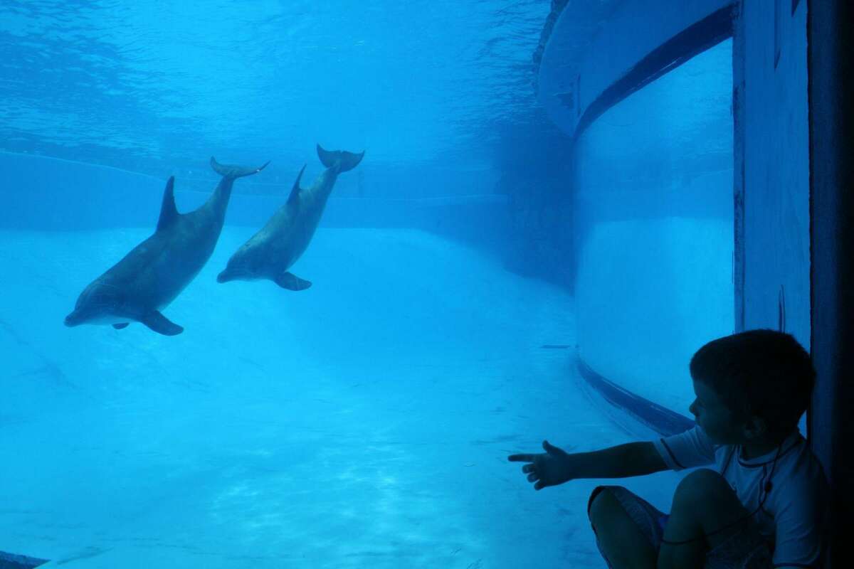 Texas State Aquarium to get 50 million makeover