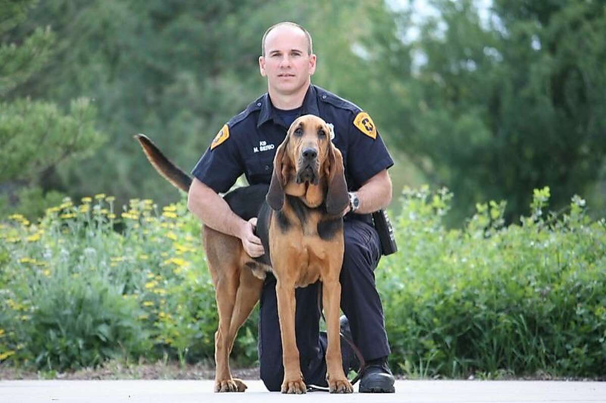 Salt Lake City Police Officer Mike Serio and his new bloodhound Junior. Local author Adam Russ's new book "Bloodhound in Blue" chronicles Serio's previous dog JJ's remarkable career. He is credited with 271 criminal apprehensions.