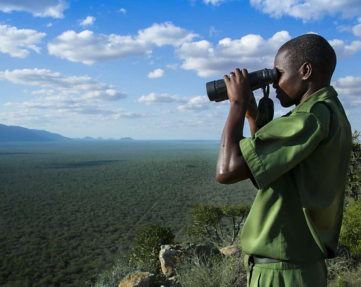 A Wildlife Works conservation ranger searches for poachers and charcoal burners in a Kenyan forest.