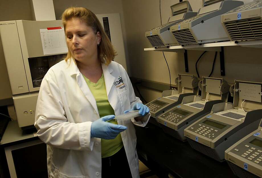 UC Davis Forensic Lab Cracks Cases With Animal DNA - SFGate