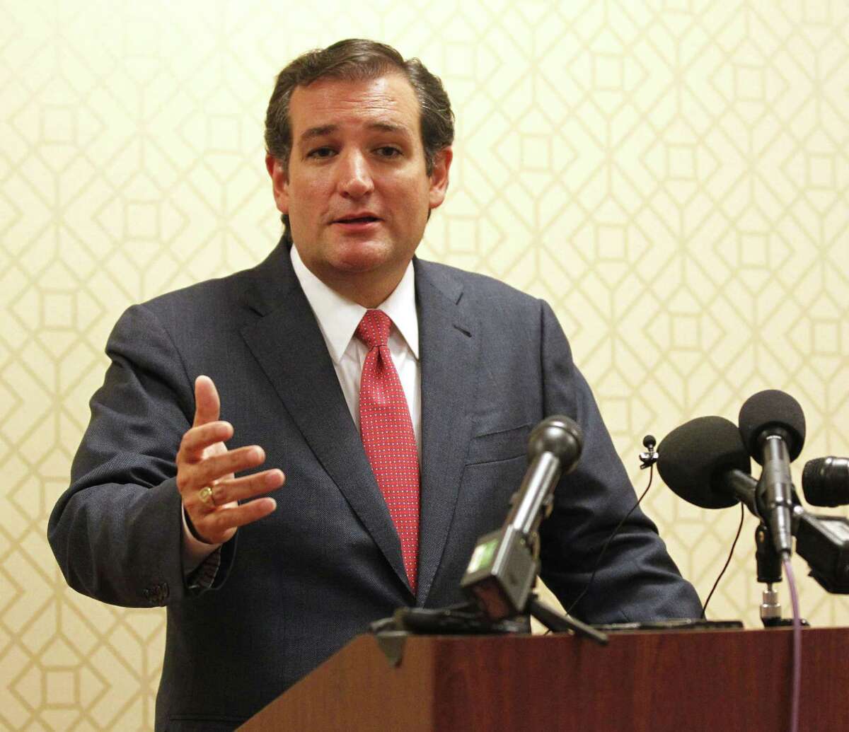Sen. Ted Cruz (R-Texas) talks to the media before speaking with the Heritage Foundation at the Hilton Anatole Hotel in Dallas, Texas, Tuesday, August 20, 2013. Cruz discussed the push to remove funding for federal health care law. (Michael Ainsworth/Dallas Morning News/MCT)