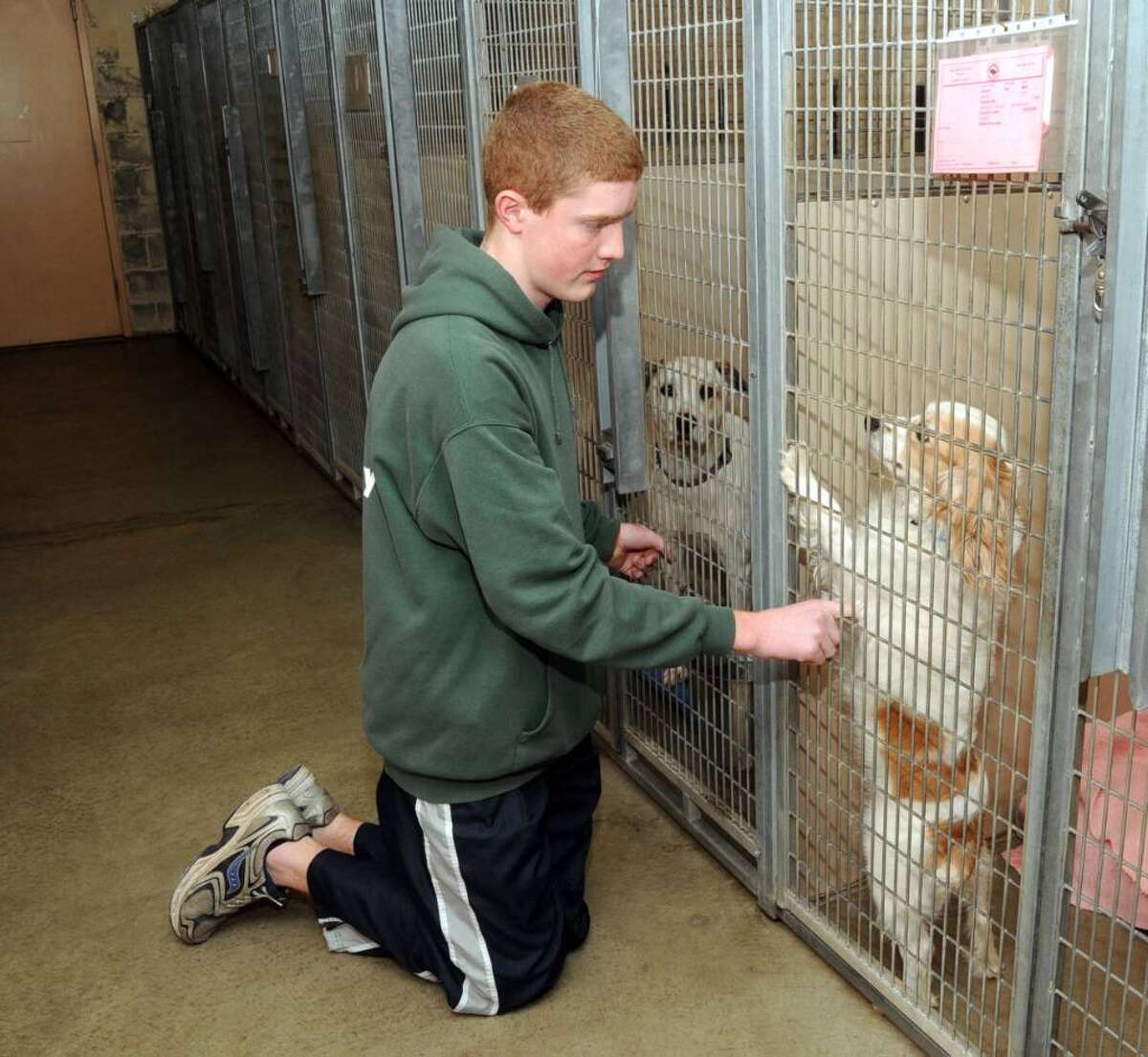Danbury area animal shelters low on money, space, supplies