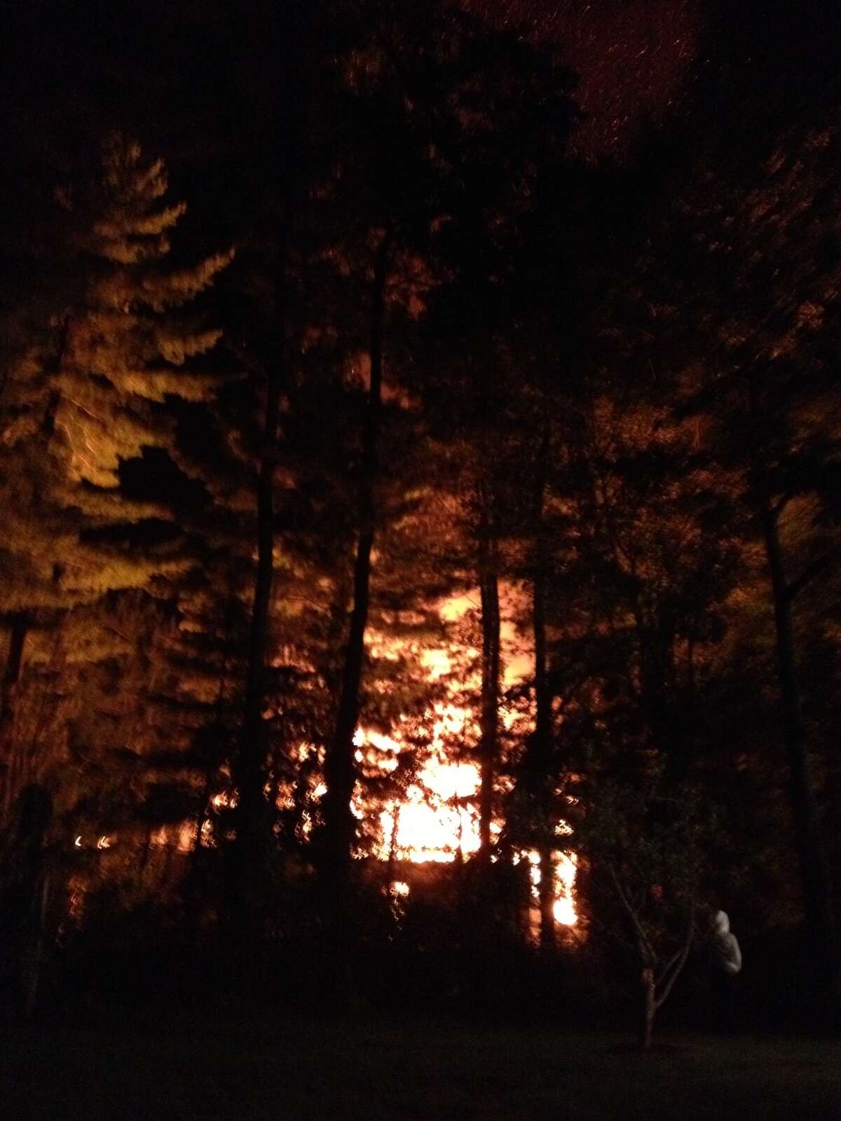 Photos Week in review