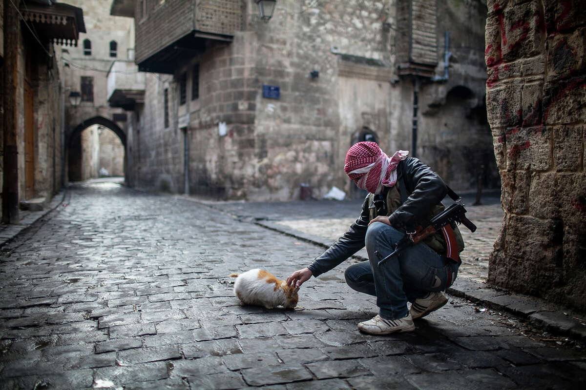 A Free Syrian Army fighter feeds a cat bread in the old city of Aleppo, Syria, Sunday, Jan. 6, 2013. The revolution against Syrian President Bashar Assad that began in March 2011, started with peaceful protests but morphed into a civil war that has killed more than 60,000 people, according to a recent United Nations recent estimate.