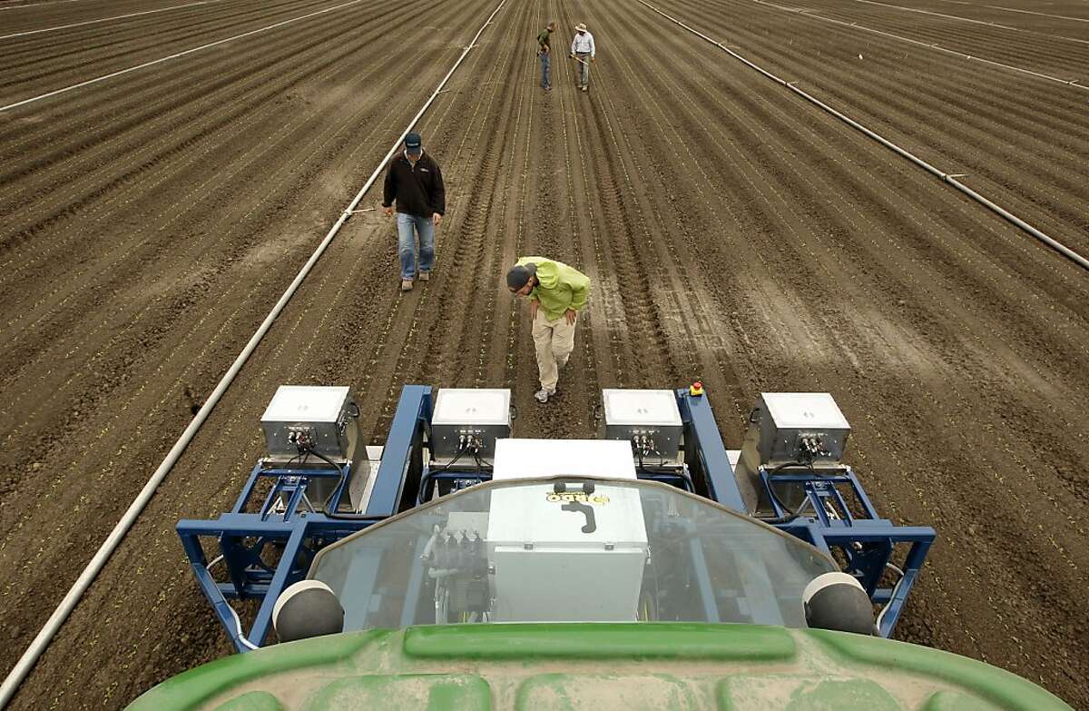 The team including Willy Pell, (center) inspects the progress of the Lettuce Bot machine as it selectively sprays a fertilizer to create a ten inch spacing between plants in a romaine field in Castroville, Ca., on Tuesday August 20, 2013. Blue River Technology of Mountain View has created their high-tech machine they call the Lettuce Bot . The machine is able to individually select plants using cameras and computers to create the optimal spacing of the plants to produce a more high quality product. With fewer and fewer seasonal workers the industry is slowly replacing humans with automation, robots and machines.