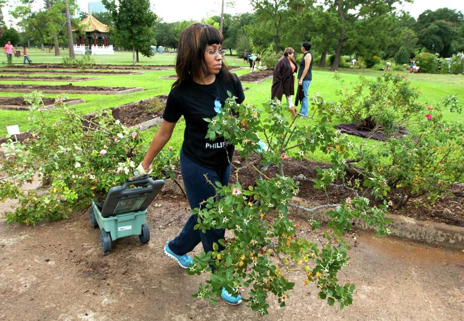 Hermann Park Plant Sale Houston Chronicle