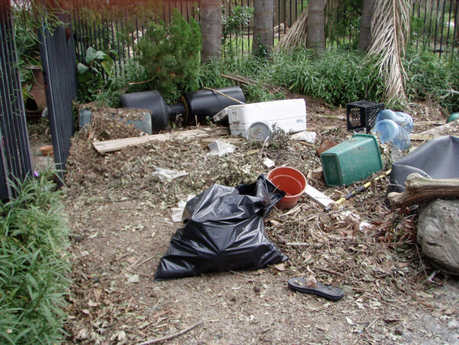 What you can’t see (or smell) are the bins and rotting fish that washed in from the fish markets in Seabrook. Photo: Karen Heck