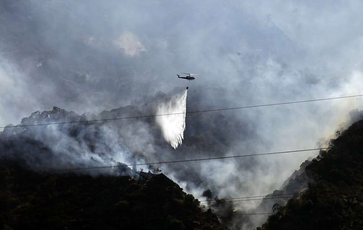 Wildlife Winners Losers In Mt Diablo Fire 8634