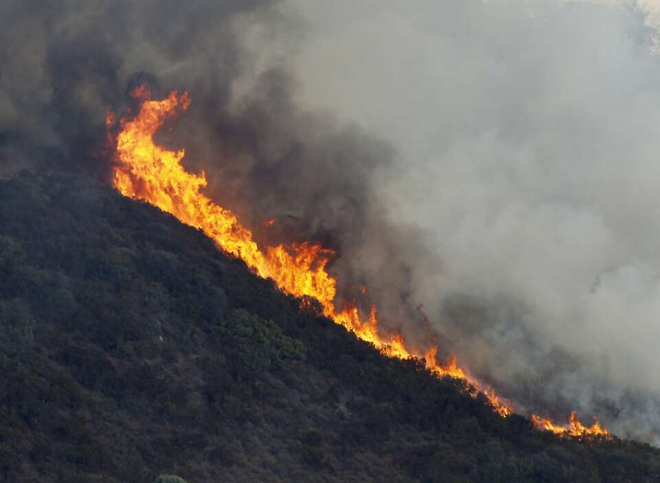 After inferno, Mt. Diablo bursts with long-hidden flowers