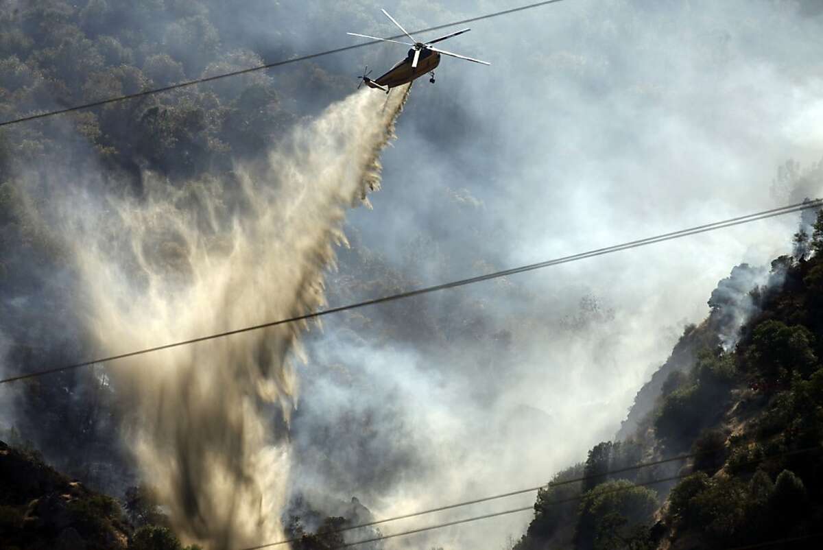 Wildlife Winners, Losers In Mt. Diablo Fire