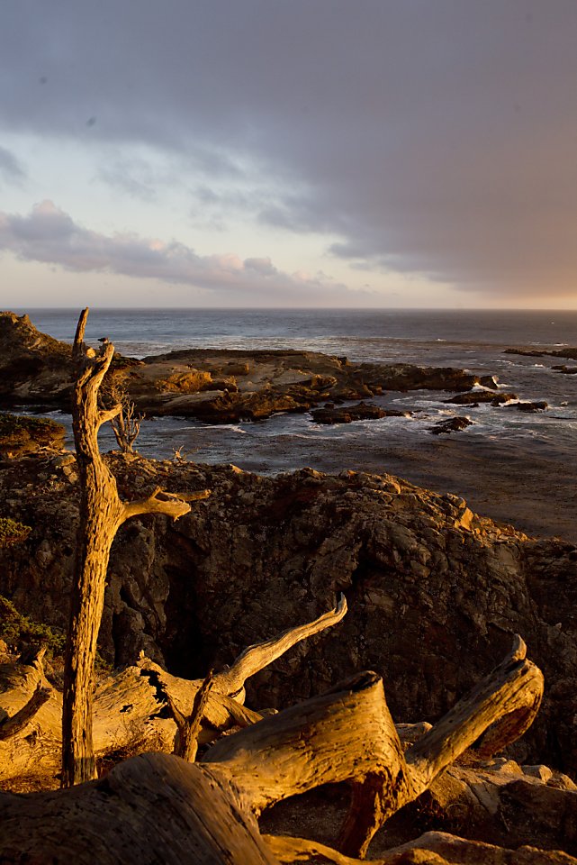 Beneath the surface of Monterey Peninsula's charms