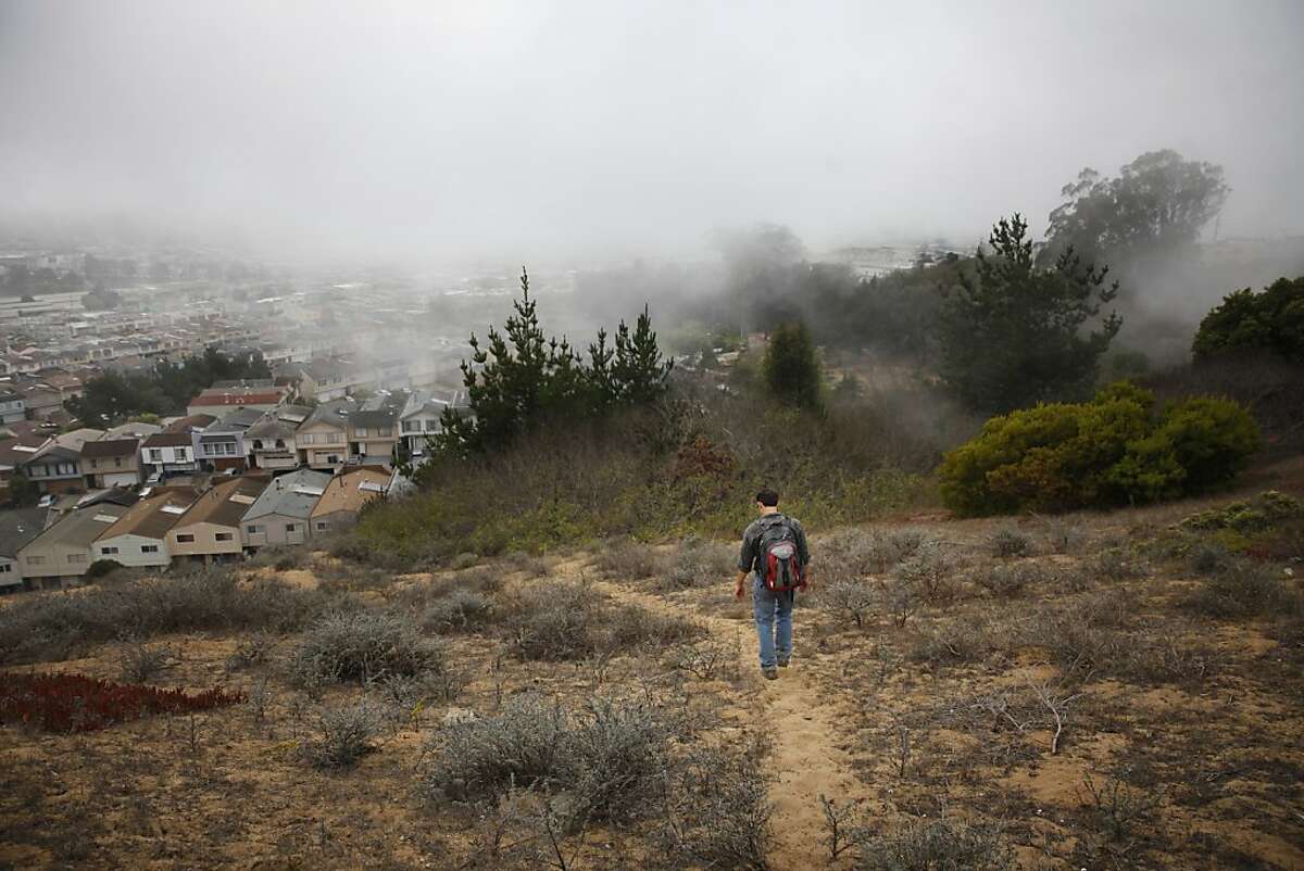 Joe Cannon, biologist and San Bruno Mountain Watch board member, walks along the dunes on San Bruno Mountain on Monday, September 9, 2013 in San Francisco, Calif.
