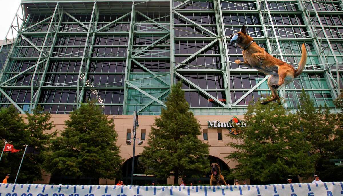 The Cute Canines at Dog Day at Minute Maid Park, Houston, Houston Press