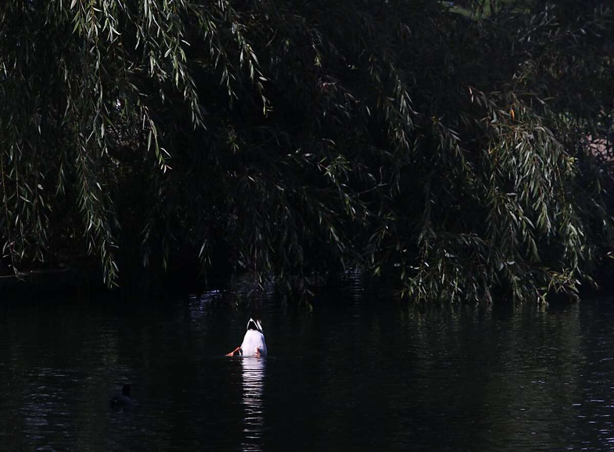 McLaren Park in S.F. sharpens focus