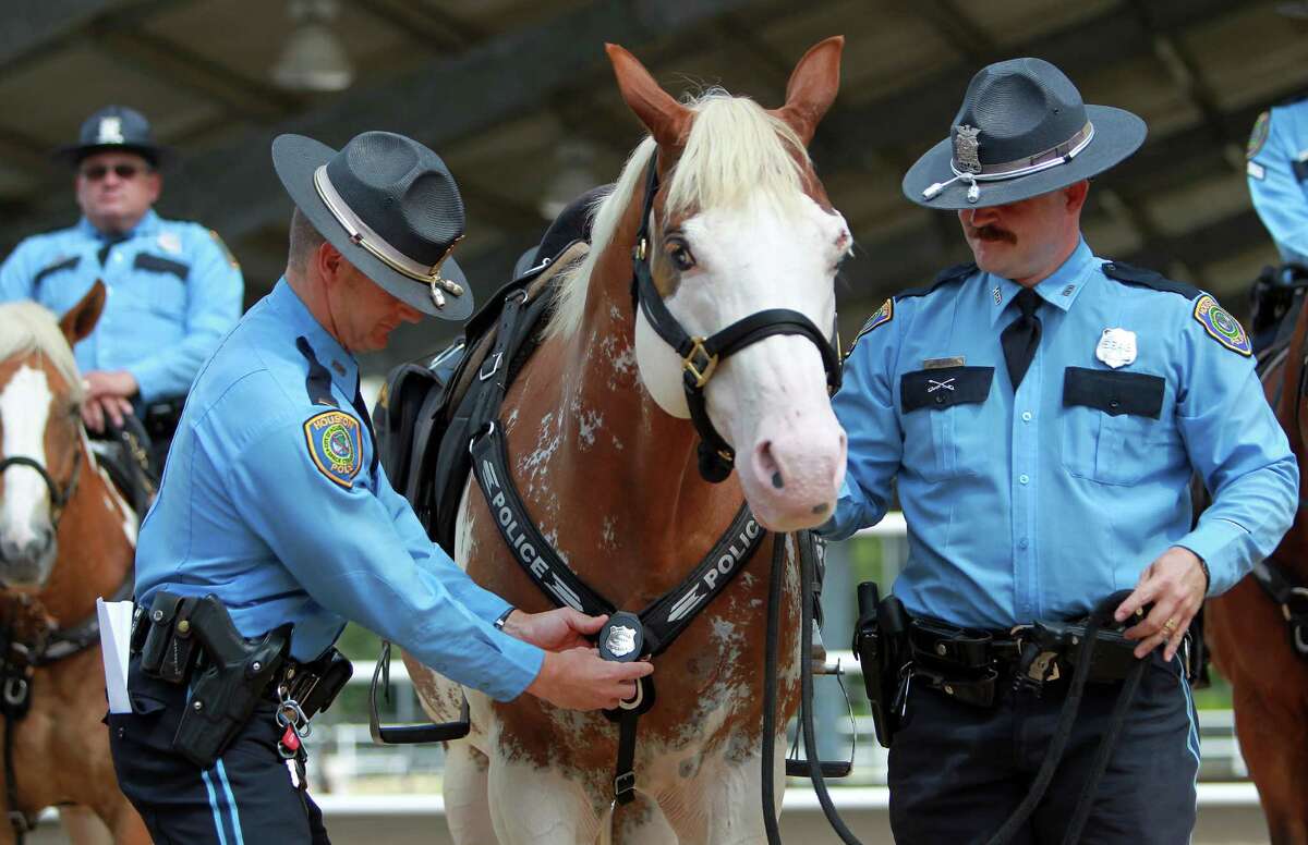 Lt. Randall Wallace pins "Smash", the newest member of HPD Mounted Patrol as HPD Officer Jeff Harris looks on.
