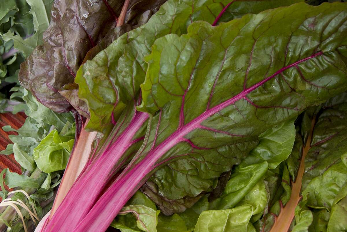 Swiss Chard Peppermint