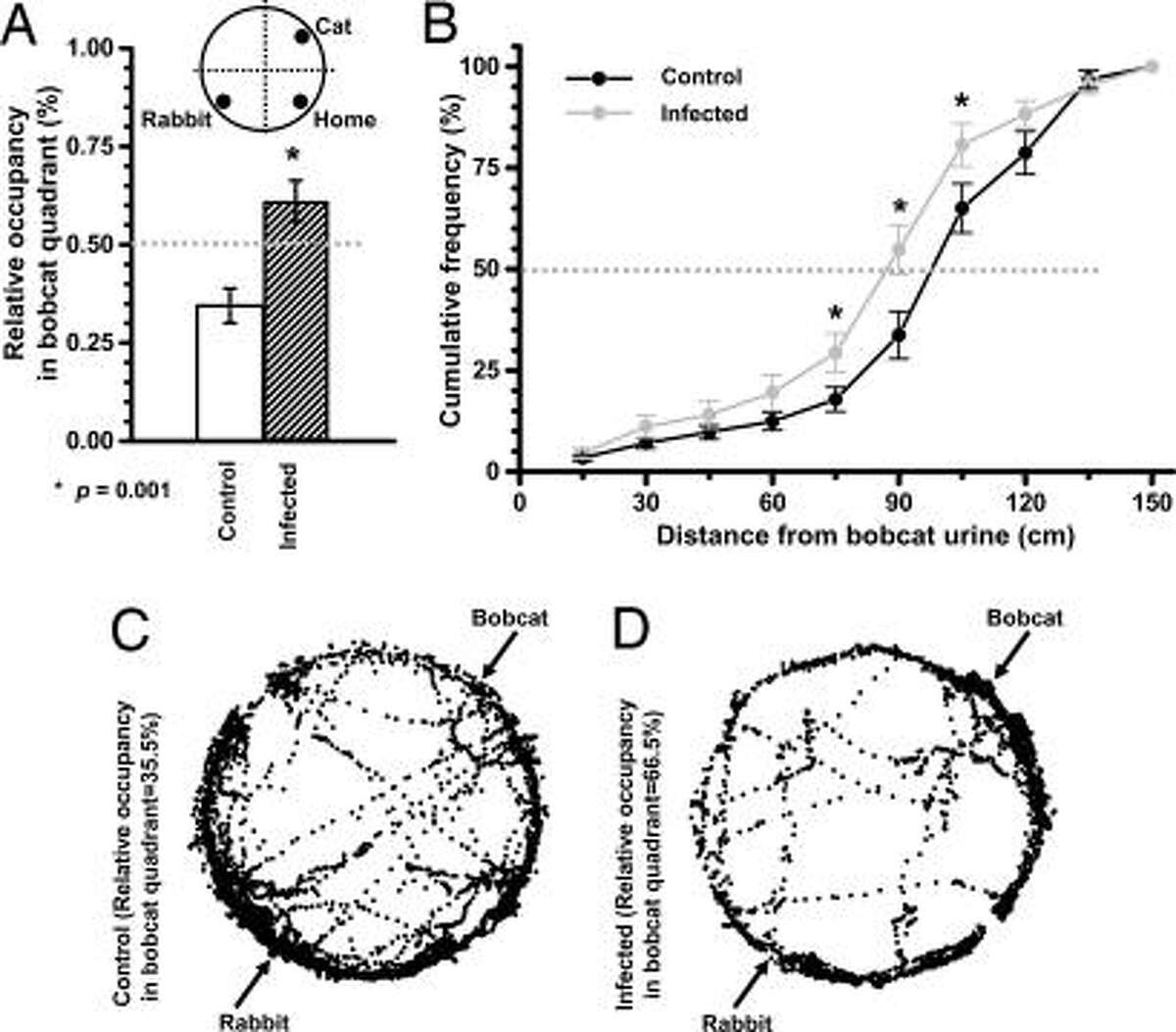 Scientist Parasite creates fearless mice permanently
