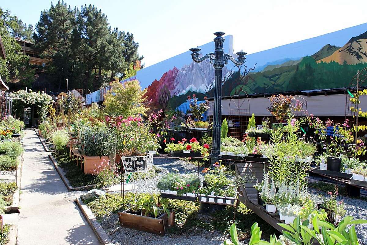Mount Diablo Boulevard in Lafayette