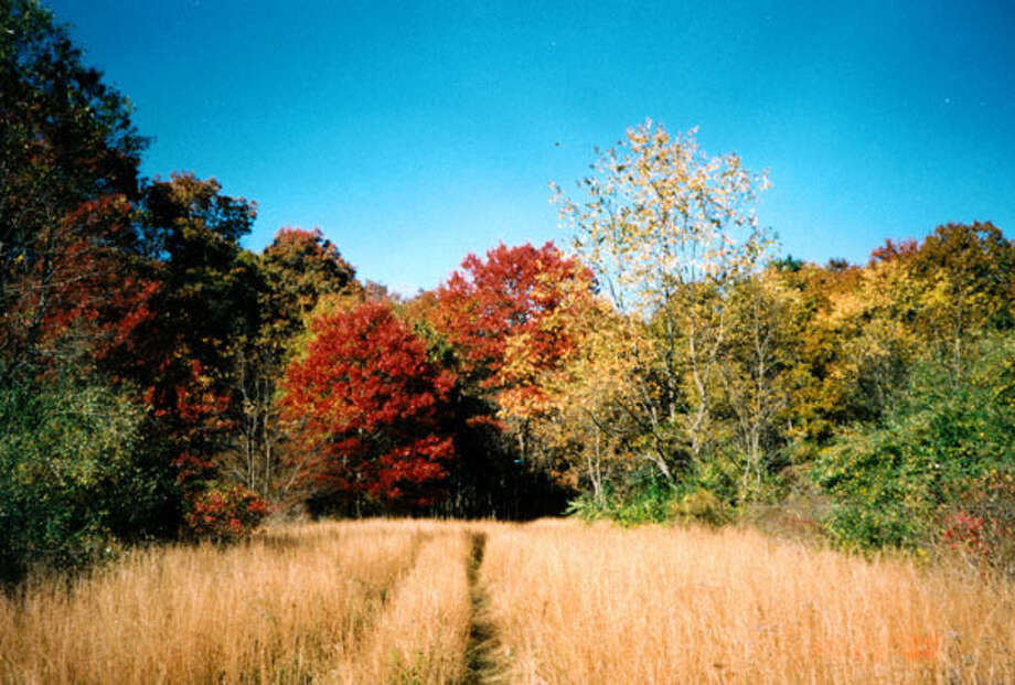 easton0219 bear sightings