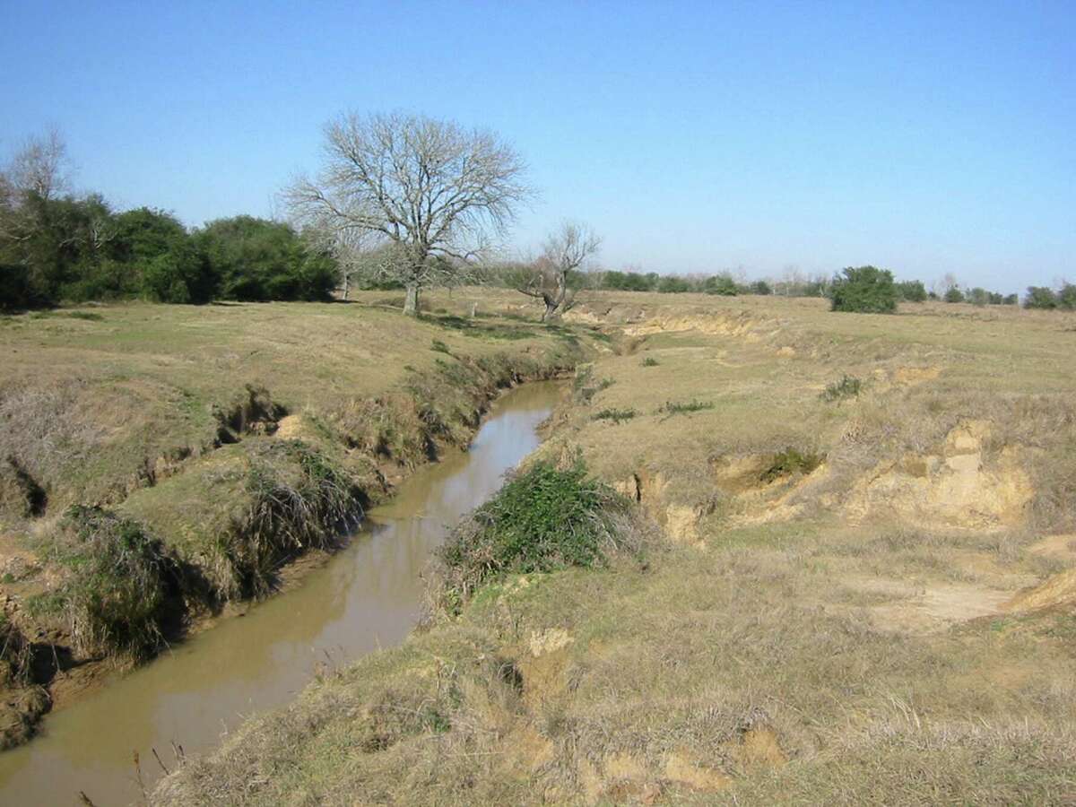 Before Cross Creek Ranch was developed, the land was an overgrazed pasture. And that stretch of Flewellen Creek, straightened and channelized, was more a drainage ditch than a creek.