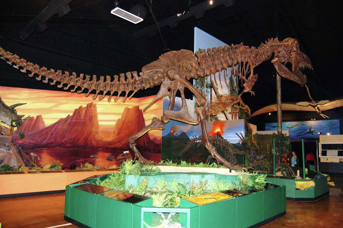 Walking on the wild side of Lufkin