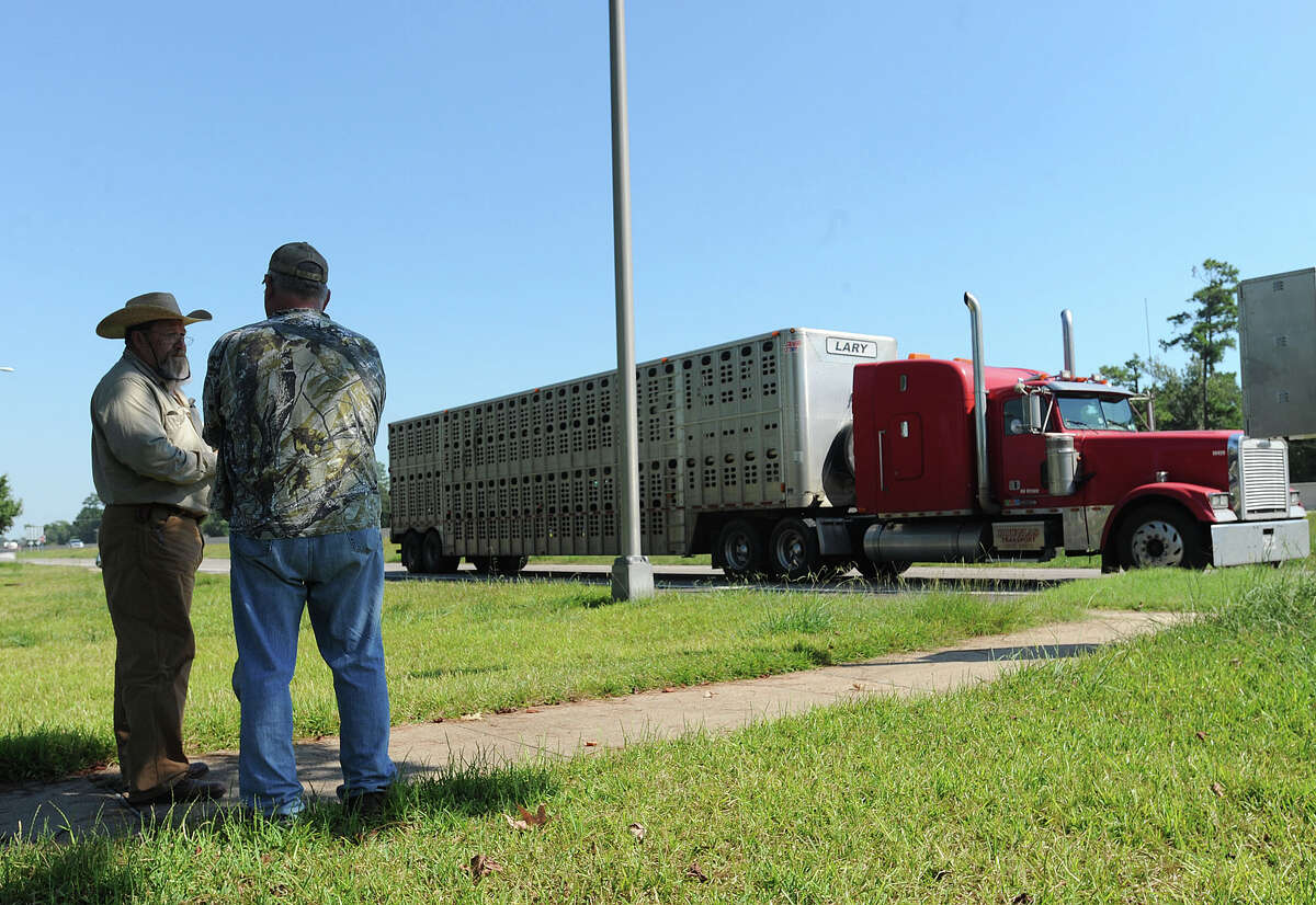 Animal inspectors keep out disease