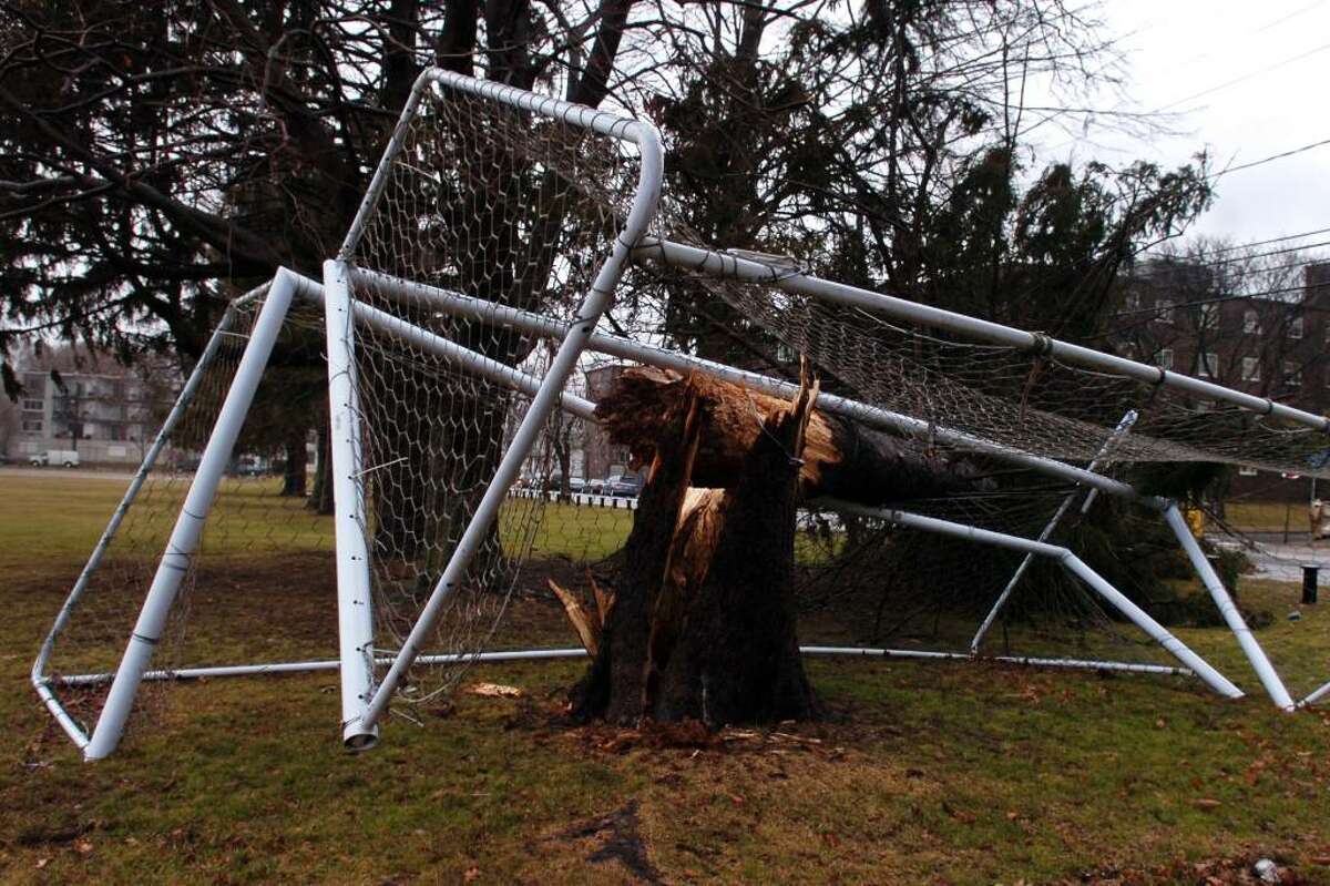 A pair of soccer goals in Seaside Park, in Bridgeport, were damaged when the tree that they were secured to came down in the high winds of Monday's storm.