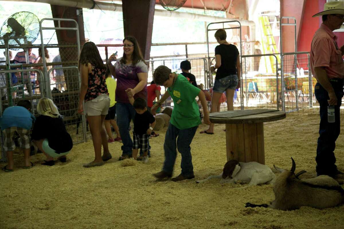 Fair goers enjoy the Comal County Fair on Friday, Sept. 27, 2013.