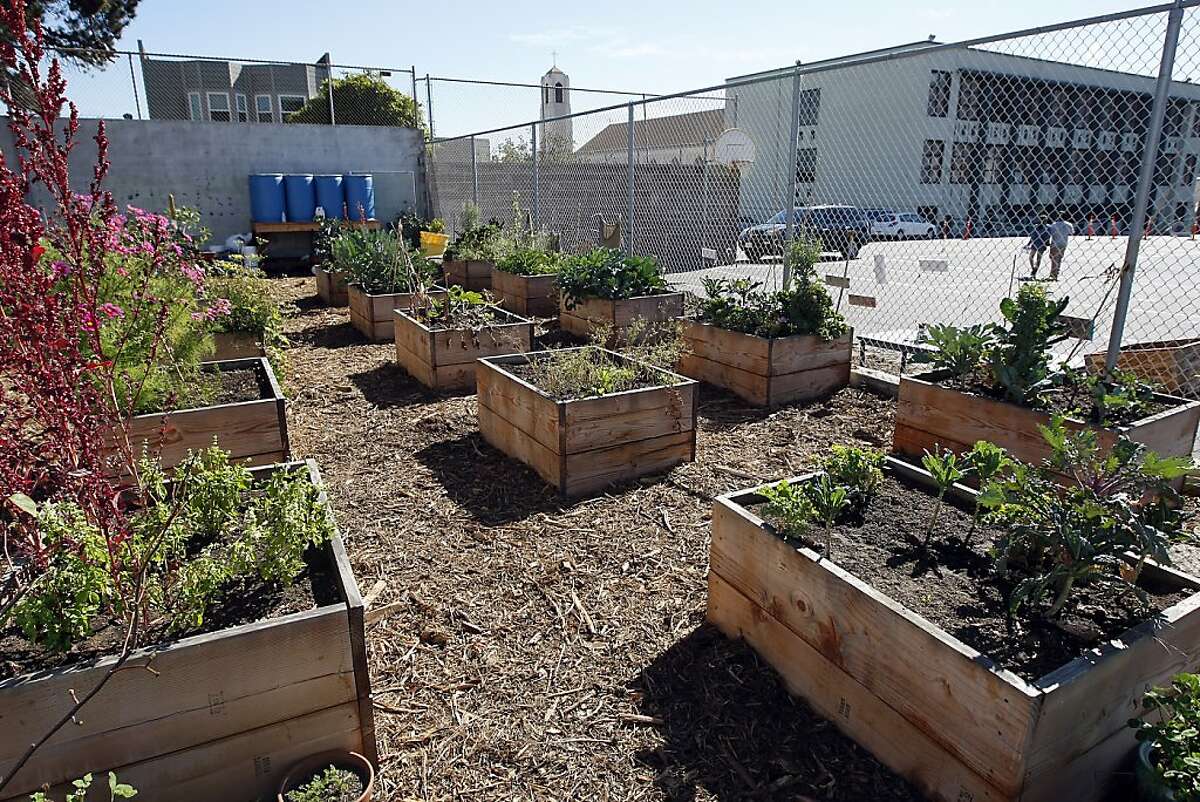 Portola tour lets residents show off gardens