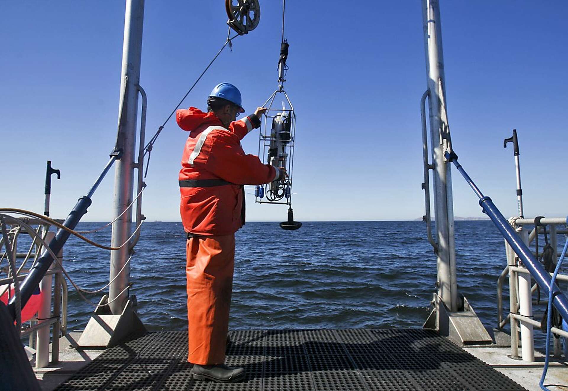 Whale Spotter app to help curb strikes by ships