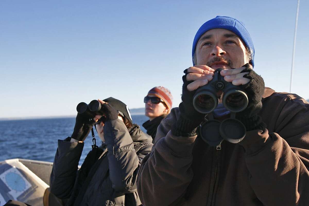Taylor Nairn, Kirsten Lindquist and Rudyard Wallen observe wildlife aboard the National Oceanic and Atmospheric Association Research Vessel Fulmar in the Gulf of the Farallones National Marine Sanctuary, Ca, on Thursday, Sept. 26, 2013.