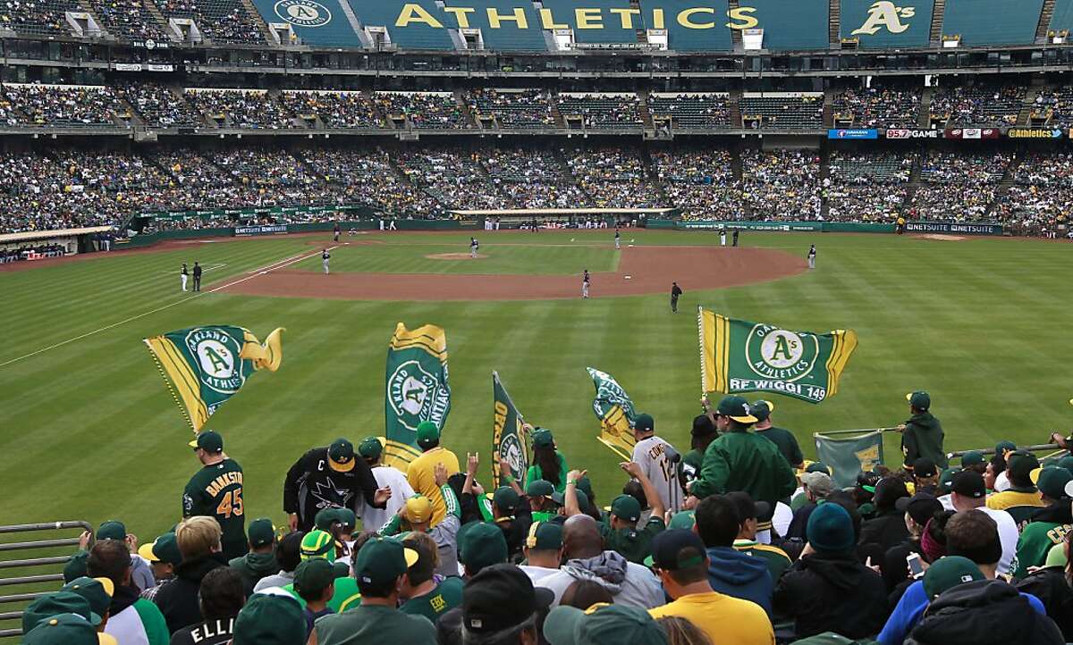 The right field fans cheer on the Oakland Athletics as they take on the Minnesota Twins on Saturday Sept. 21, 2013, in Oakland, Calif., at O.co Coliseum.