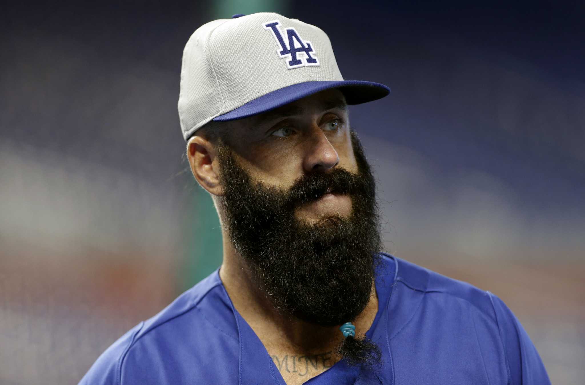 BRIAN WILSON'S BEARD — Jeeto Creative