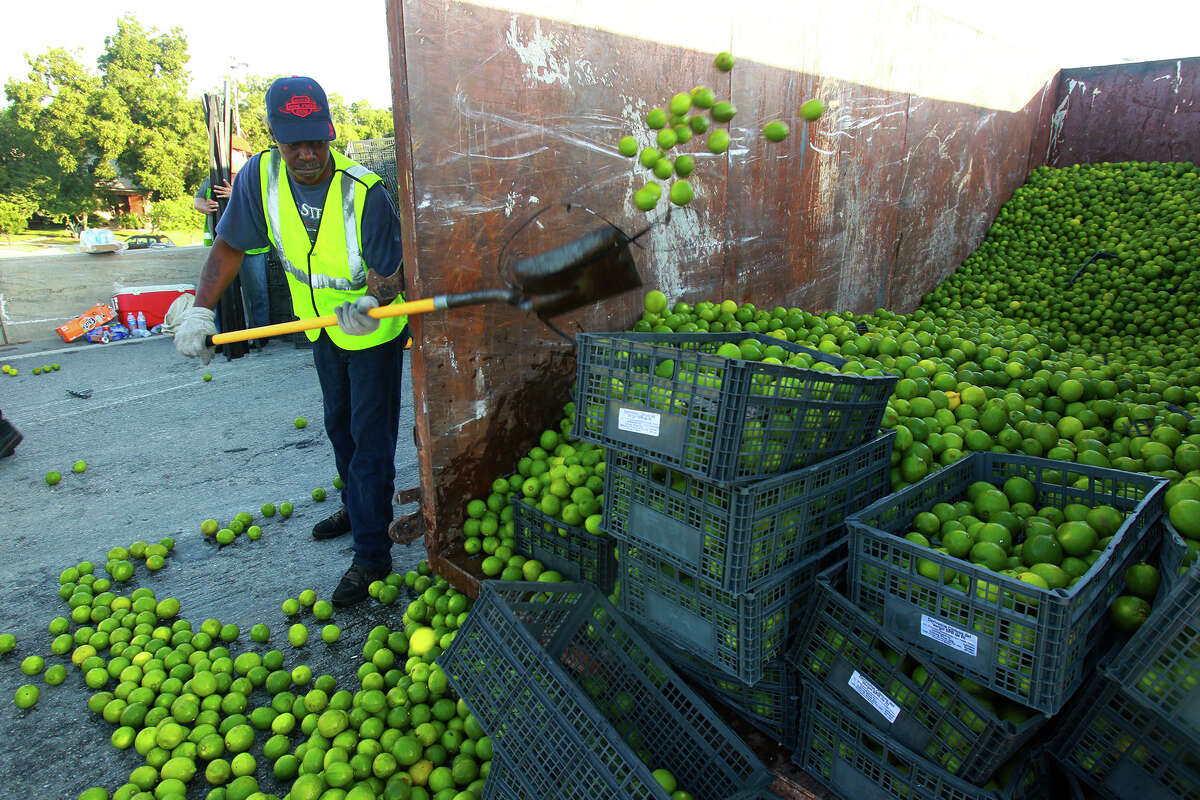 An 18-wheeler crashed on Thursday morning, spilling 40,000 pounds of limes it was carrying on the freeway ramp connecting IH-37 southbound to IH-10 westbound and putting a squeeze on traffic in the area. We asked readers, "What would you do with 20 tons of limes?" No surprise many of you went straight to the margarita, but click ahead for more ideas on how to use those limes.