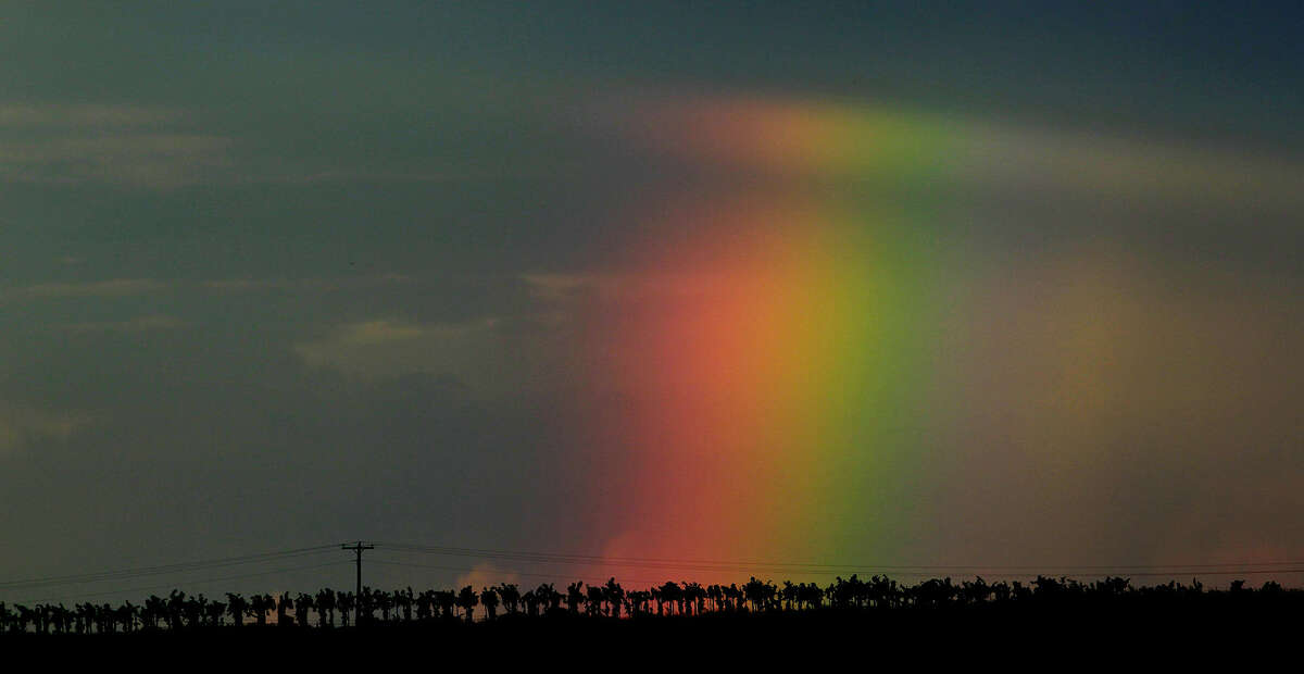 A rainbow appears behind a vineyard near the small West Texas town of Plains. The vineyard is part of the Newsom Family Vineyards and is run by Nolan Newsom, 27, who is a third-generation grape grower.