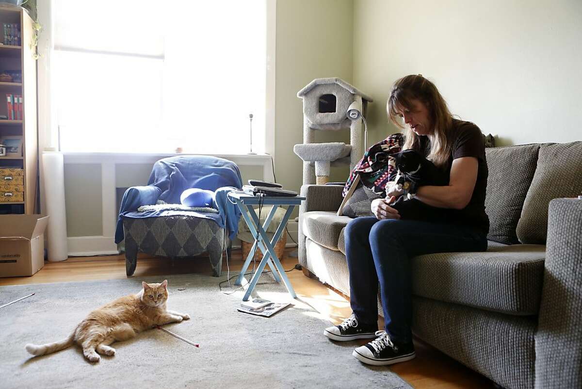 Shelly Ross plays with her two cats, Tyler Purrden (black) and Finny, in her apartment Friday, October 4, 2013 in San Francisco, Calif.