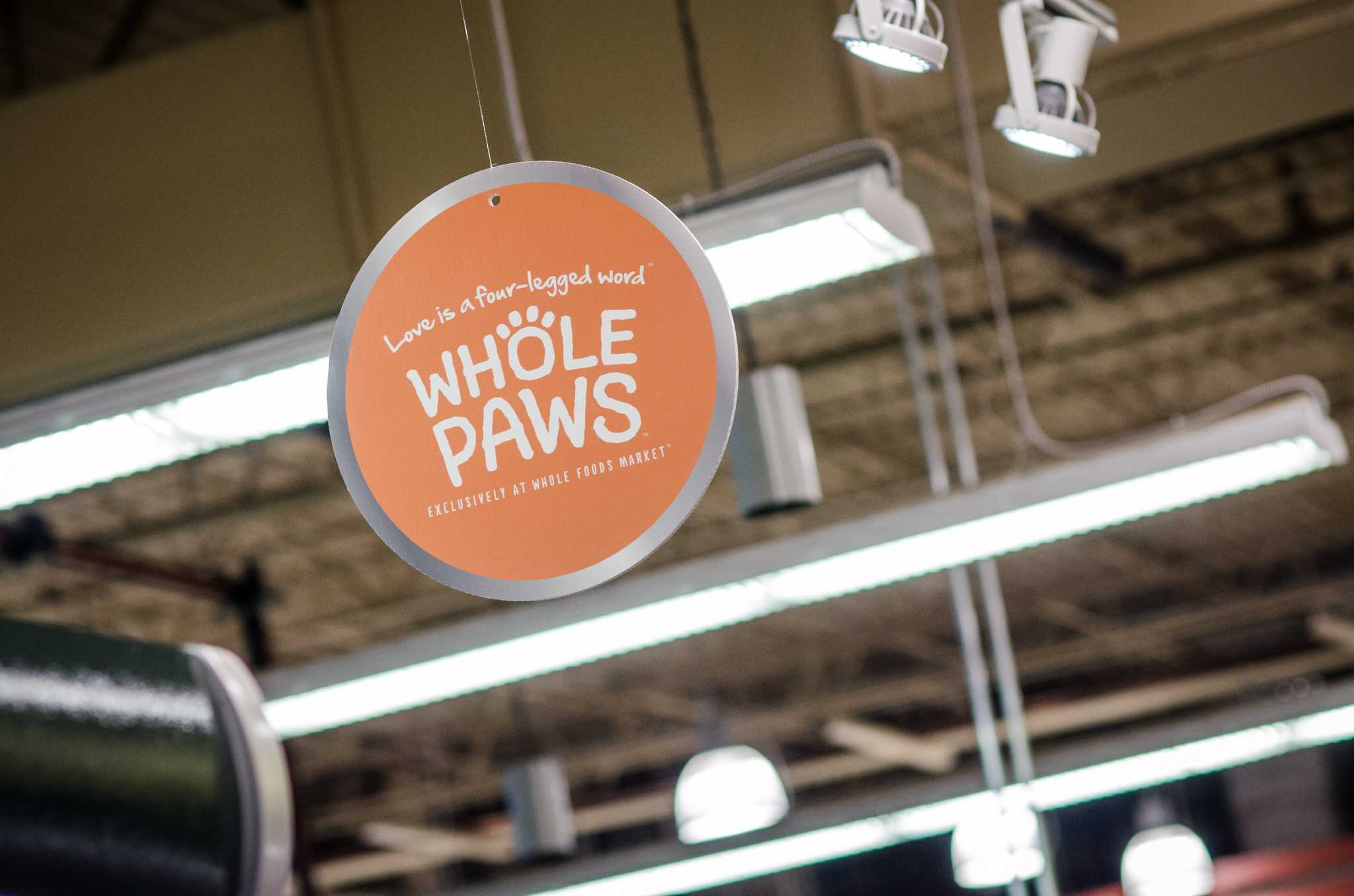 Whole paws on sale wet cat food