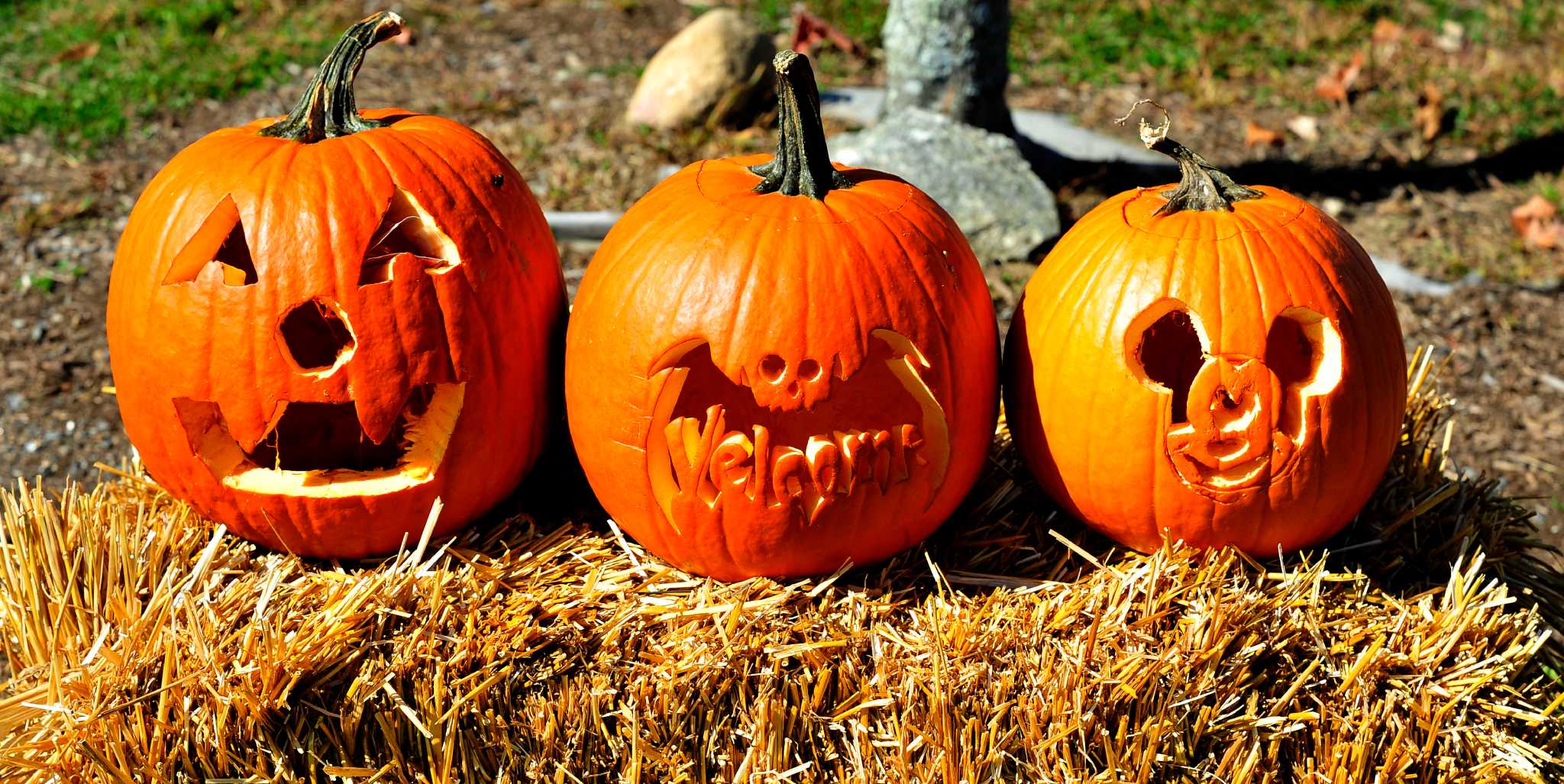 Newtown pumpkin festival