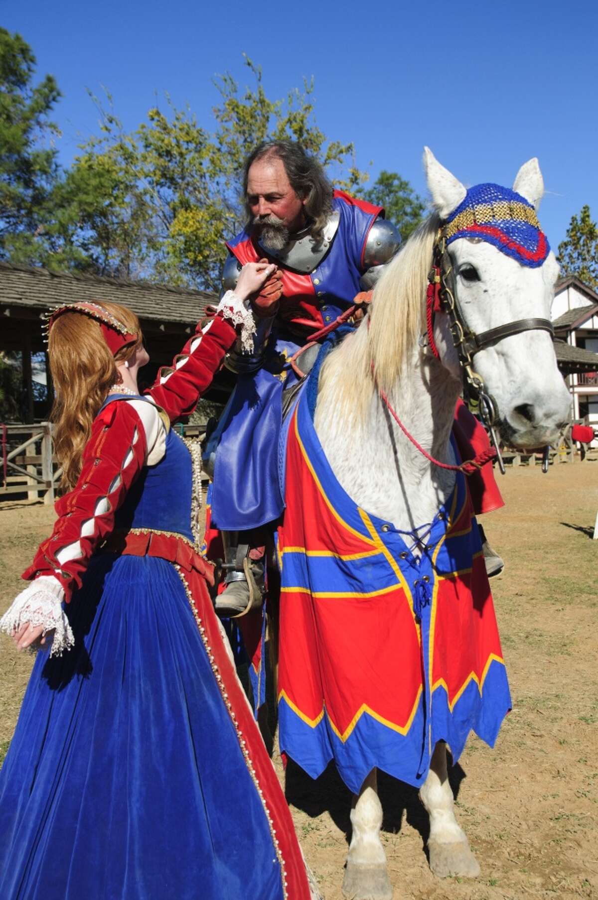 The Texas Renaissance Festival Wedding photo album
