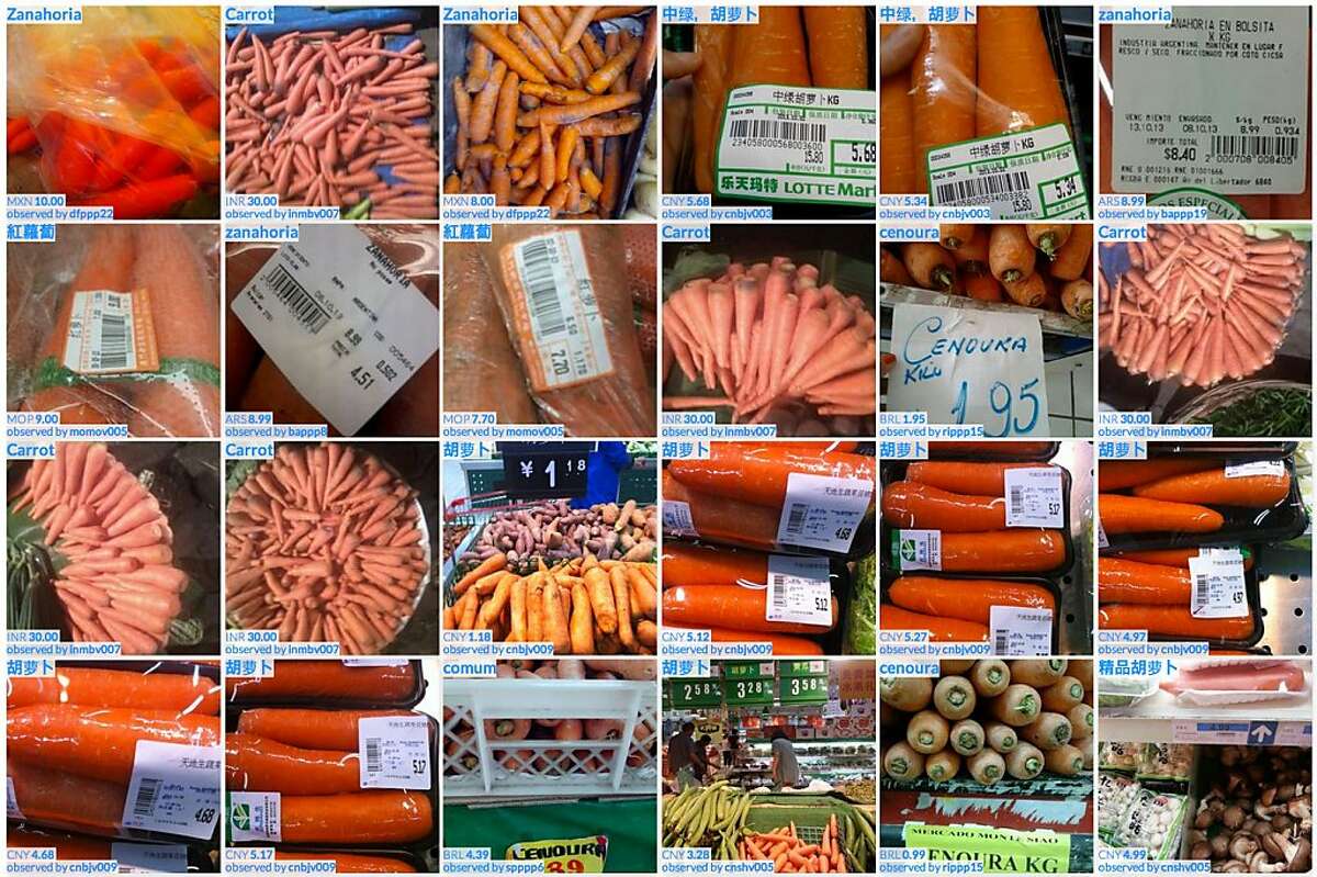 Food staples from around the world, captured by Premise workers who snap pictures of products and prices with Android phones.