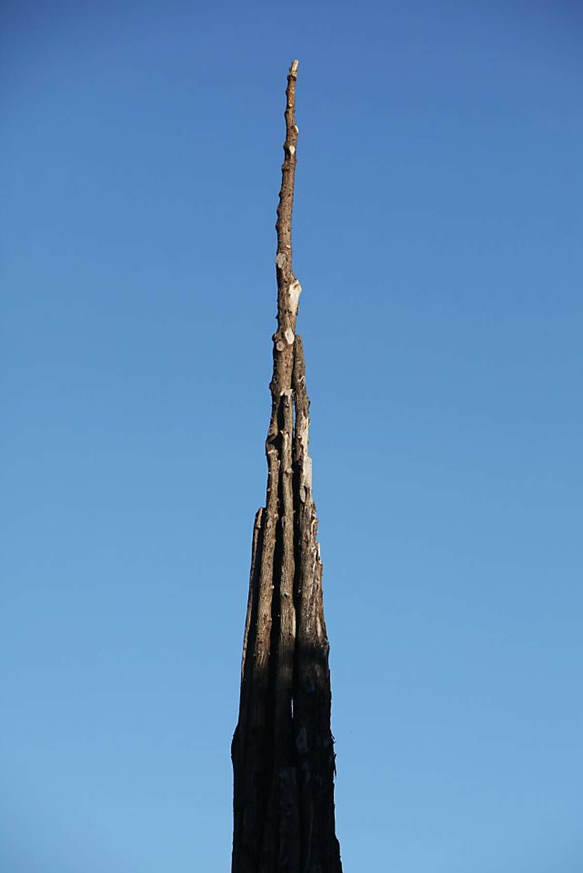 Sculptor Andy Goldsworthy Enlists Felled Tree