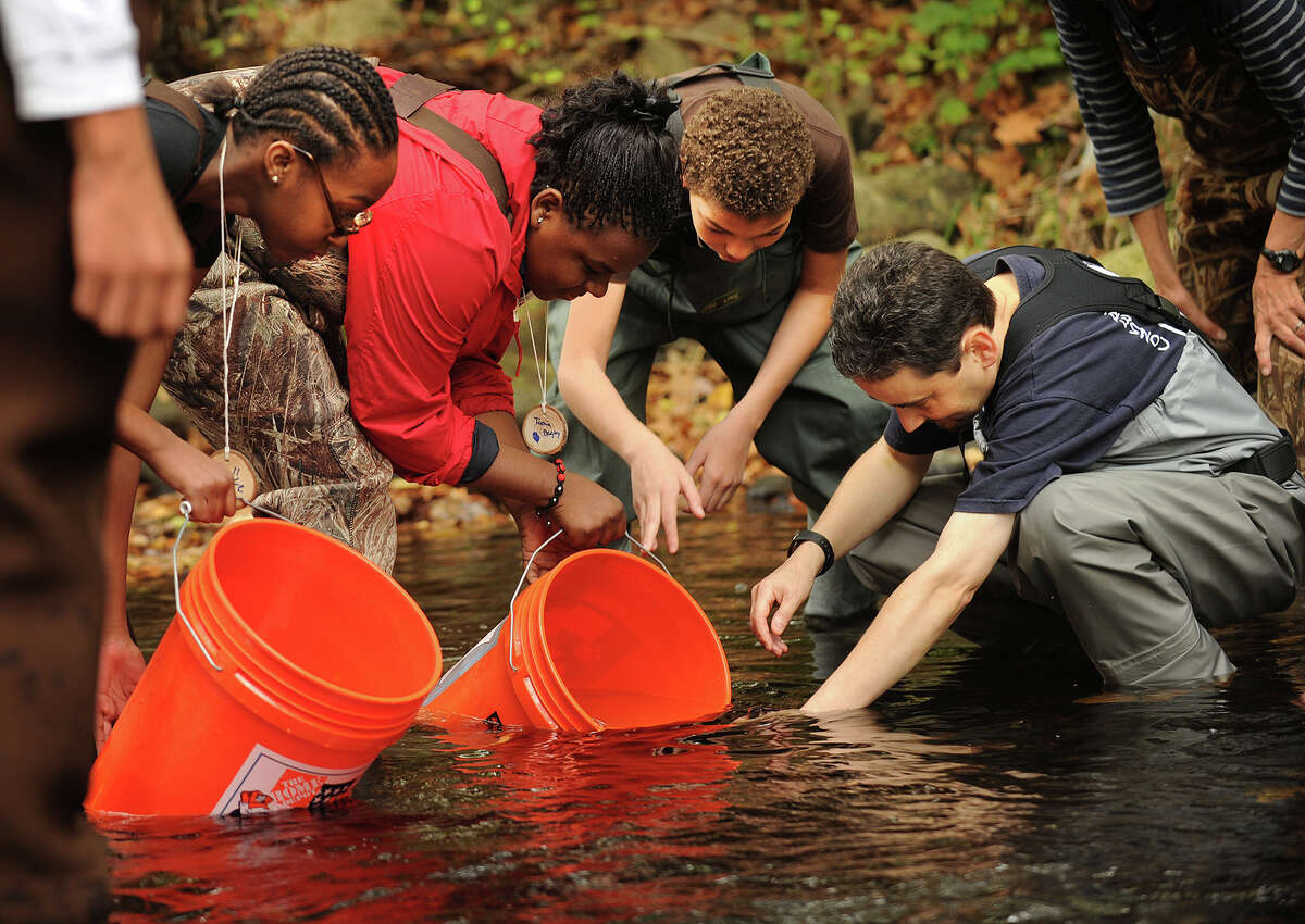 From left; Bridge Academy students Tiore Phillips, 12, Tamia Bagley, 13, and Andre Wilson, 13, all of Bridgeport, release Brook Trout into the Pequonnock River with the help of Beardsley Zoo educator Gian Morresi at Beardsley Park in Bridgeport, Conn. on Thursday, October 17, 2013. The school, along with fellow charter school Park City Prep, spent the last year raising the trout as part of a conservation and education program called 'Trout in the Classroom'.