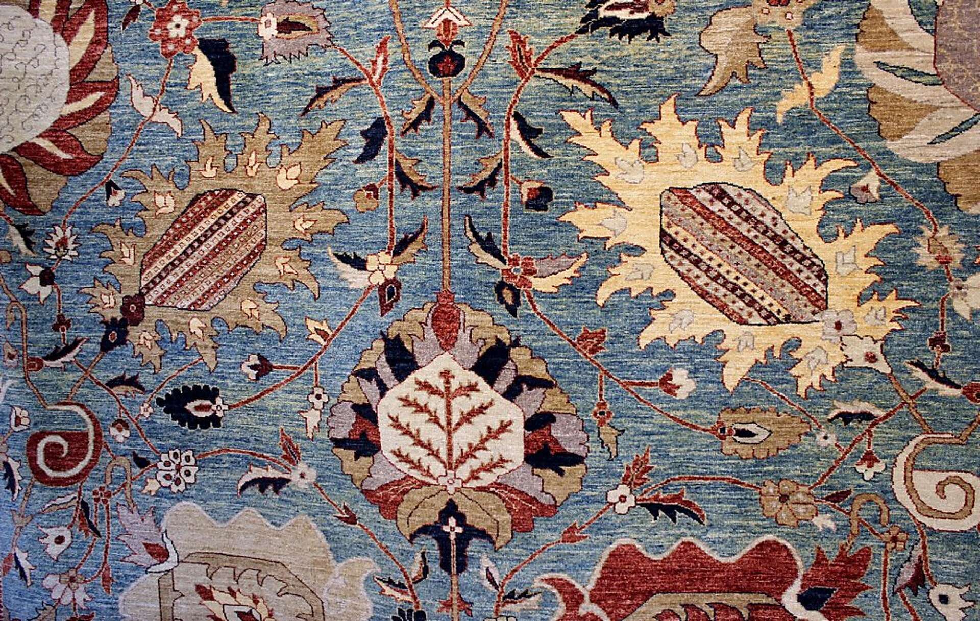 Solano Avenue, Berkeley