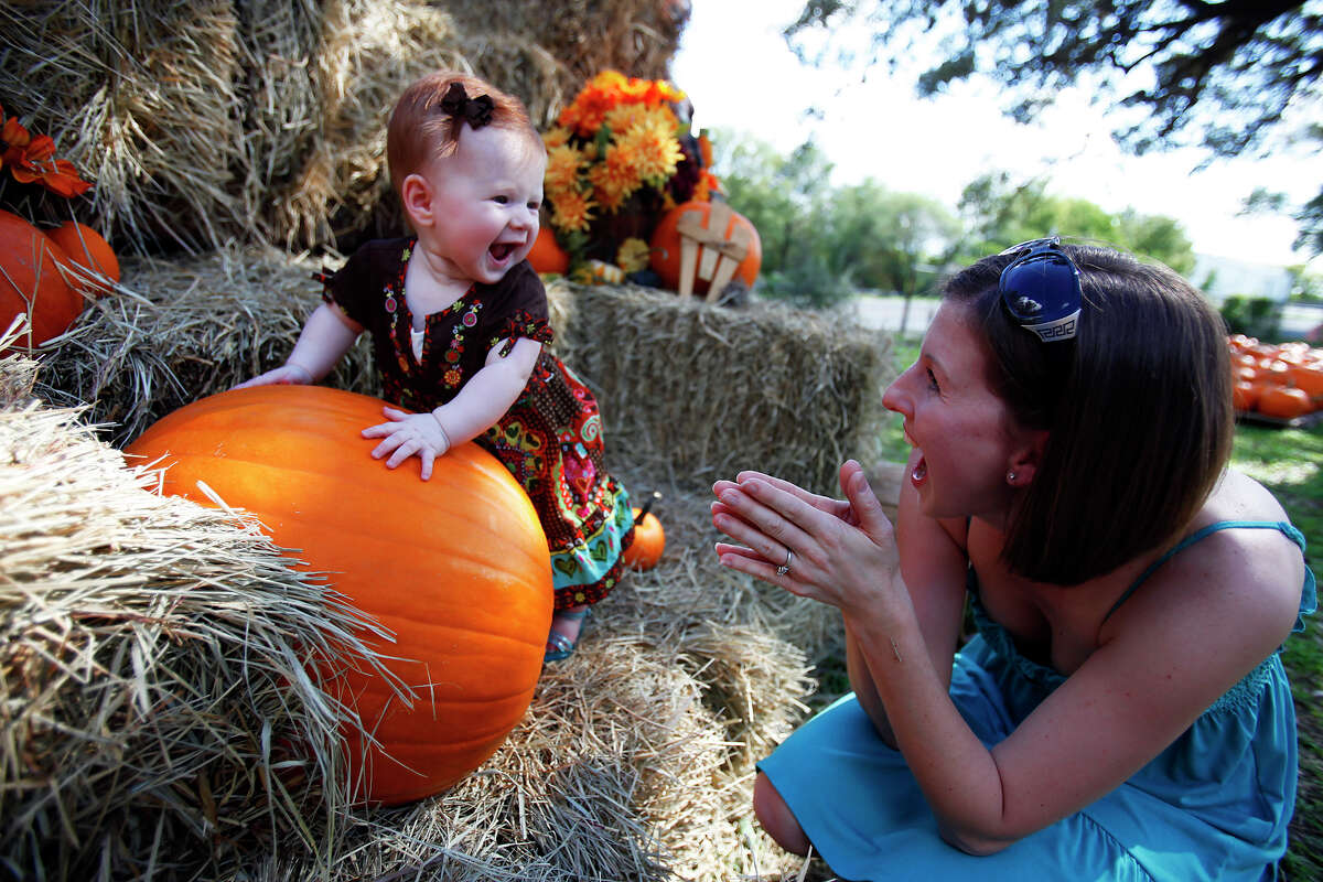 Janice Derington of Schertz, right, helps her daughter, 6-month-old Hannah Derington, pose for a picture on the first day of the pumpkin patch at Bracken United Methodist Church, 20377 FM 2252. The patch is open daily from 9 a.m. to dusk through Oct. 31. Contact 830-606-6717, or brackenumc@satx.rr.com. Visit the site.
