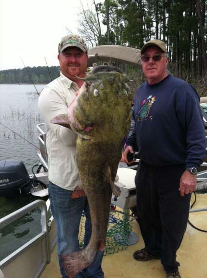 trotlining for big catfish