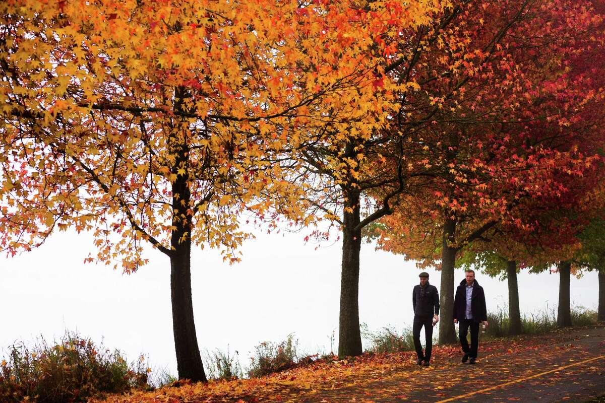 Surrounded by fall colors, two men meander the path Thursday, Oct. 24, 2013, around Green Lake in Seattle.