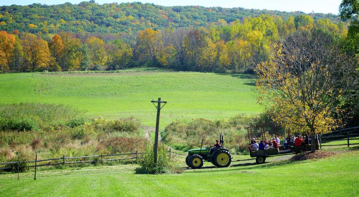 Fall fest proves a hit at Sullivan Farm