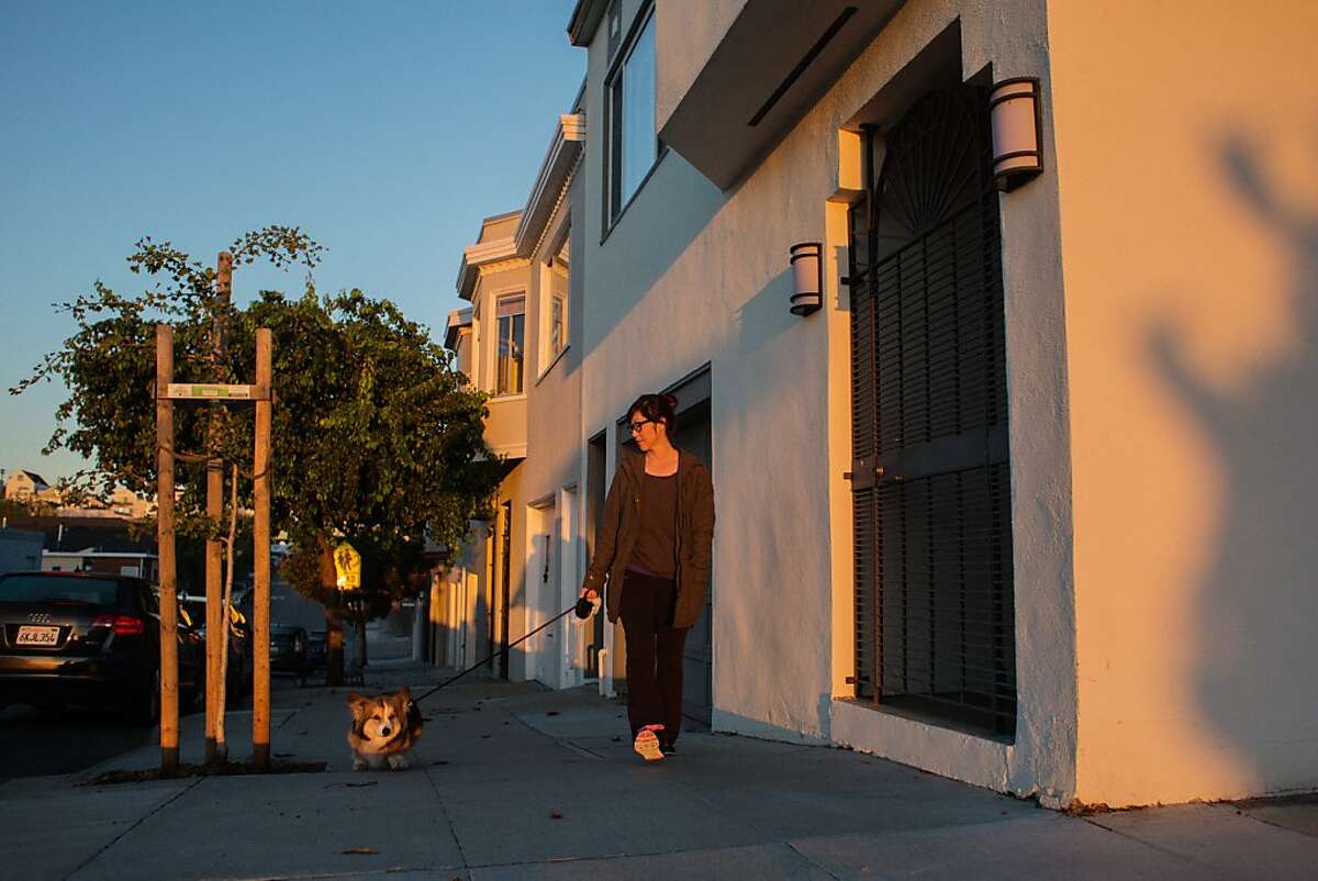 Giselle Chow walks a dog named Toast as one of her jobs in the "gig economy" San Francisco, CA, September 23rd, 2013.